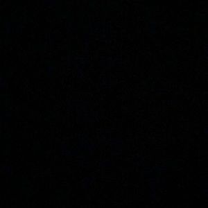 Meet your Posher, Lily